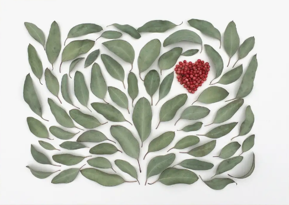 Greeting Card - Botanical, Eucalyptus Heart