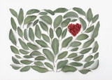 Greeting Card - Botanical, Eucalyptus Heart