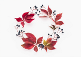 Greeting Card - Botanical, November Wreath
