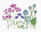 Greeting Card - Botanical, Pastel Floral Rainbow