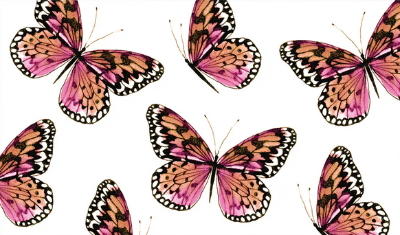 Greeting Card - Pink Butterflies Mini Cards - Boxed Set of 6