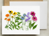 Greeting Card - Botanical, Rainbow with Coneflower