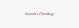 Greeting Cards, Deluxe Boxed - Festive Evergreen