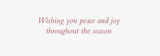 Greeting Cards, Deluxe Boxed - Tidings of Joy