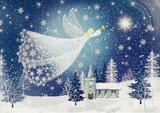 Greeting Cards, Deluxe Boxed - Tidings of Joy