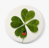 Pocket Mirror - Luckiest Ladybug