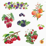 Sticker Book - Bunches of Botanicals - 500+ stickers