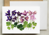 Greeting Card - Botanical, Columbine Flowers