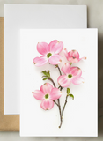Greeting Card - Botanical, Pink Dogwood