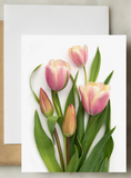 Greeting Card - Botanical, Pink Tulips