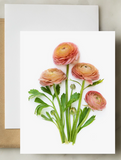 Greeting Card - Botanical, Ranunculus