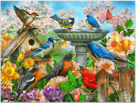 Jigsaw Puzzle - Bird Bath - 500 piece