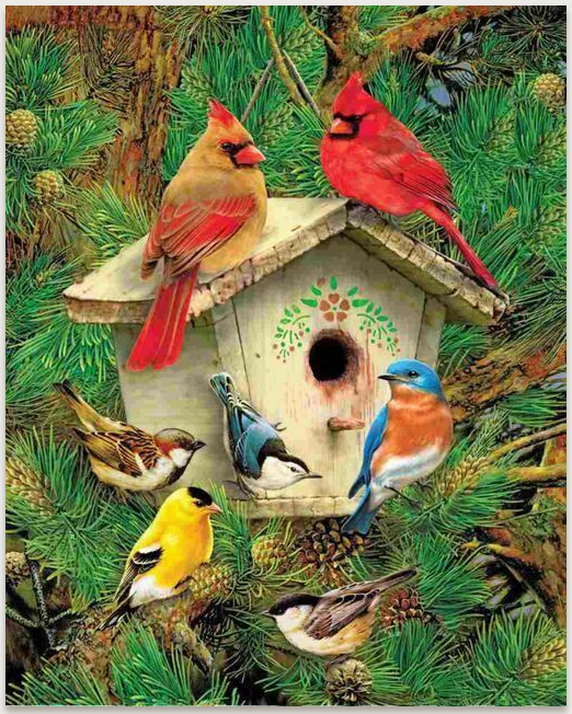 Jigsaw Puzzle - Feathered Retreat - 1000 piece