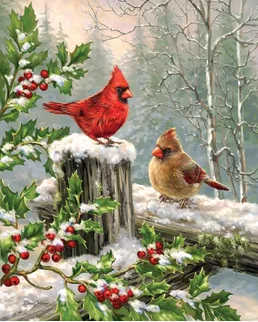 Jigsaw Puzzle - Winter Visitors - 1000 piece