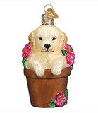 Puppy in Flower Pot Ornament